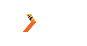 NEXTSPIN-playgame168